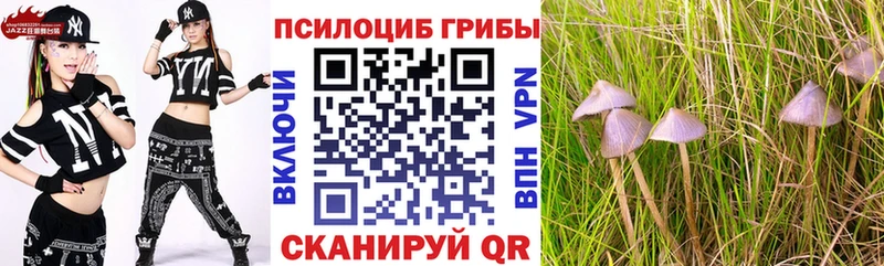 Купить закладки Назарово Псилоцибиновые грибы Magic Shrooms